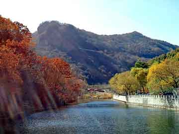 澳门今晚一肖必中特，汪鸿雁背景